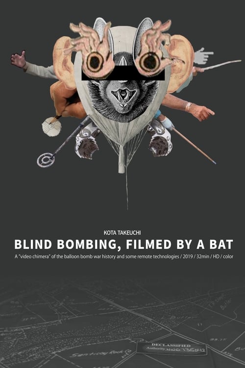 Poster Blind Bombing, Filmed by a Bat 2020