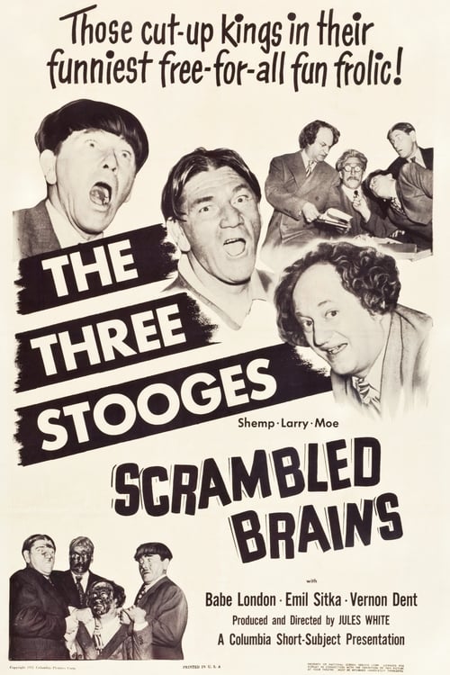 Scrambled Brains