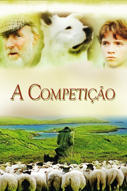 Poster do filme A Competição