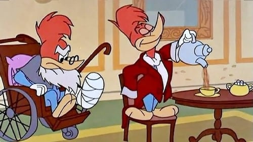 Poster della serie The Woody Woodpecker Show