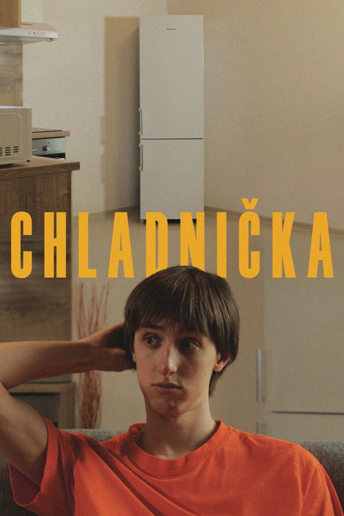 Chladnička poster