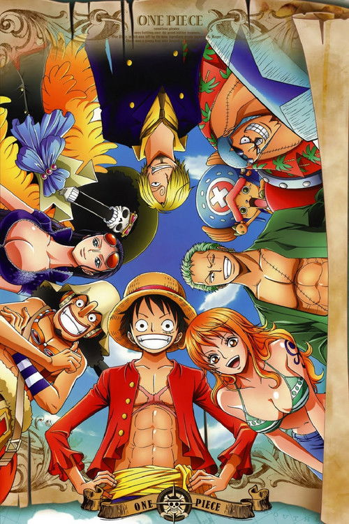 Pòster de One Piece - Col·lecció