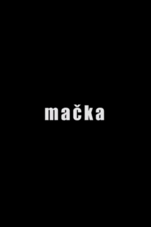 Mačka