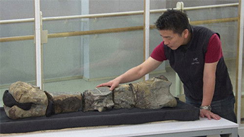 Discovery of the Century: The Great Dinosaur of Japan