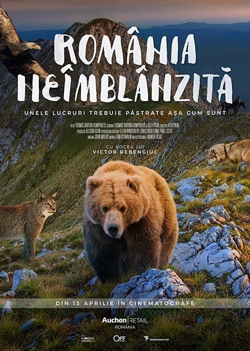 Rumania indomable poster