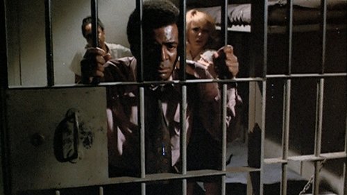 Épisode 5