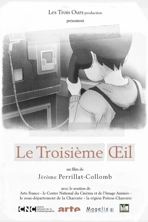 Le troisième œil (2014)