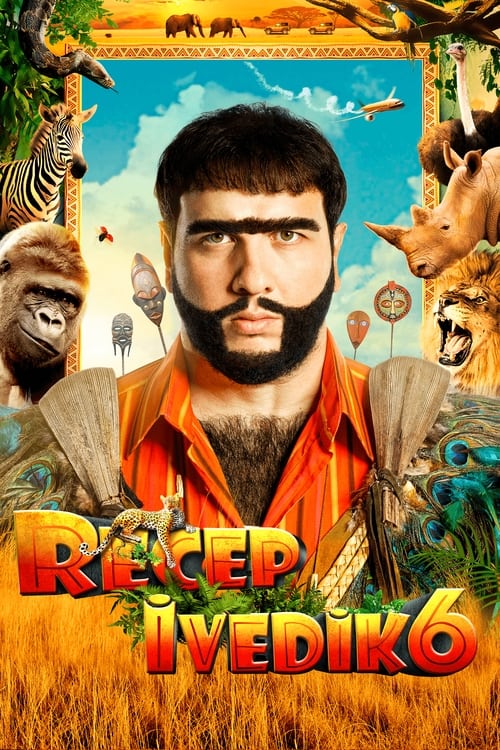 Recep Ivedik 6 Movie Poster Image