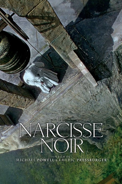 Poster image du film Le Narcisse noir Le Narcisse noir