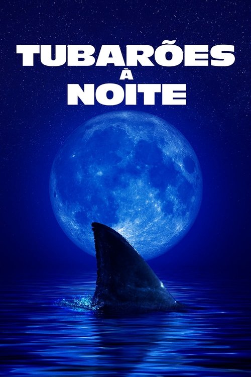 Tubarões à Noite