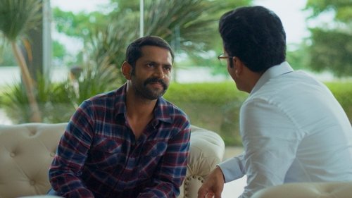 Poster della serie The Family Man