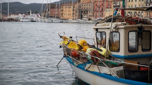 Image de l'épisode 8
