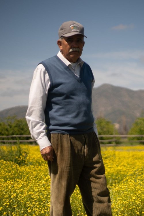 Reinaldo Rojas