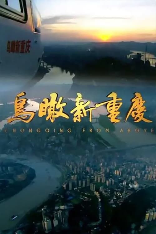 鸟瞰新重庆 (1998)