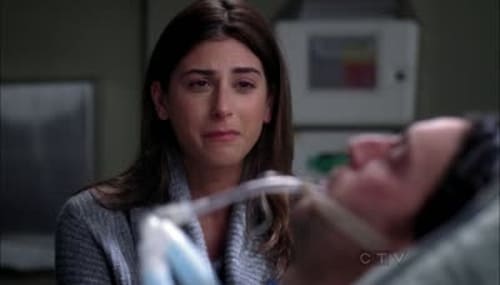 Grey's Anatomy - Season 8 - Episode 14: All You Need Is Love