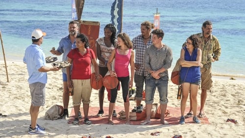 Poster della serie Survivor