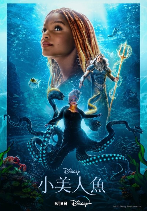 Posters