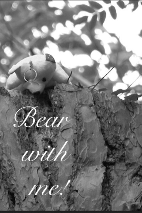 Bear with me! poster