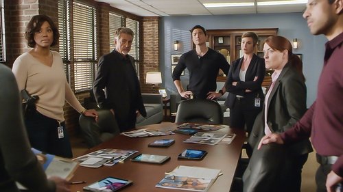 Criminal Minds: 13×15