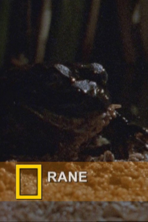 Cartell de Fearsome Frogs