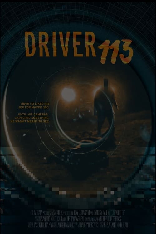 Driver 113 poster