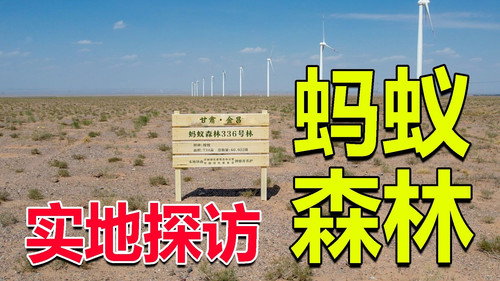 Episode 201