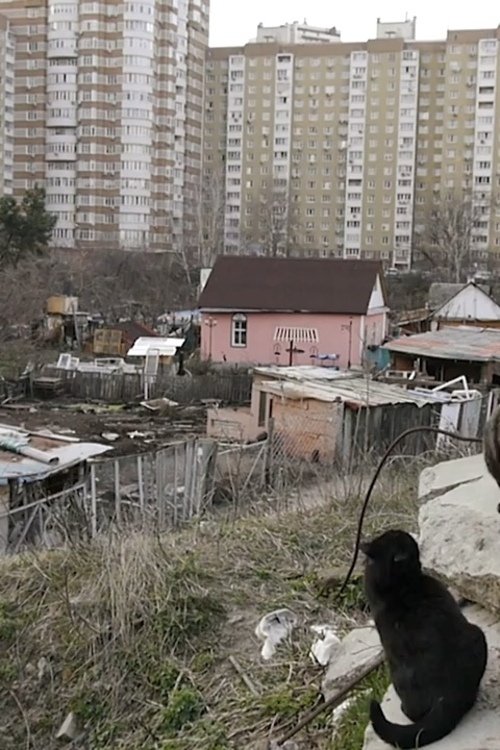 Between the Huts