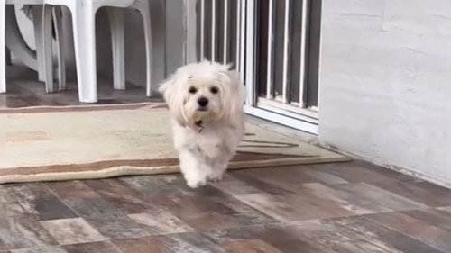 Taxi And A Little Waste