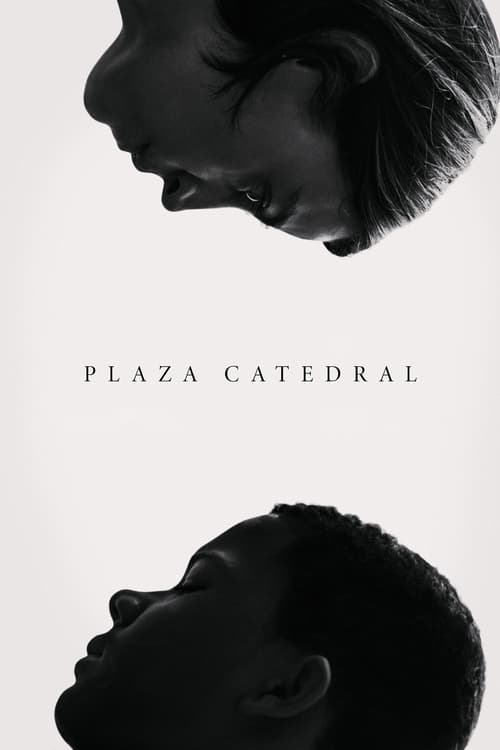 Plaza Catedral poster