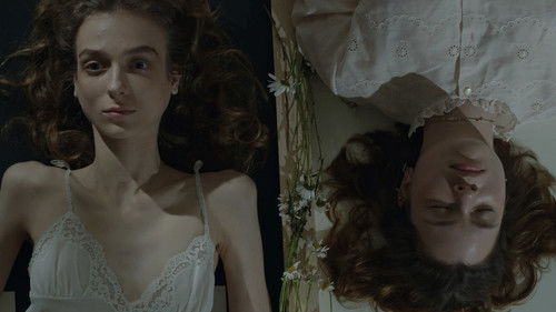 Shrimp, Switch, Cigarette Butt & a Little Bottle