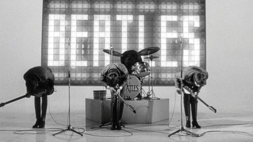 Backdrops