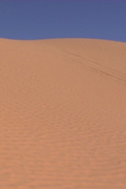 Klima retten jetzt! (Wandern in Tirol 2050)