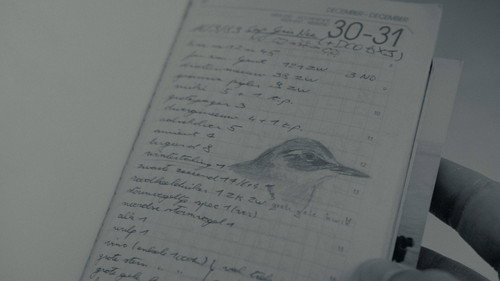 Een vogel met jouw naam still