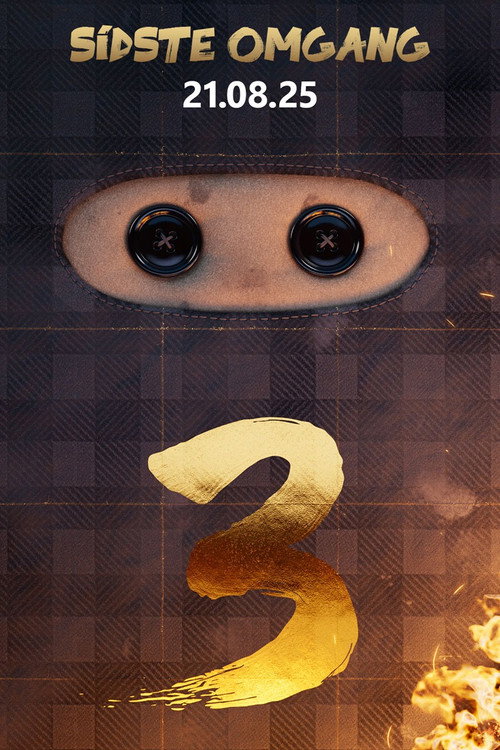 Checkered Ninja 3 poster