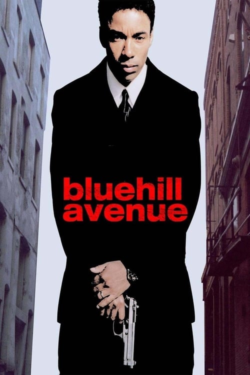 Blue Hill Avenue poster