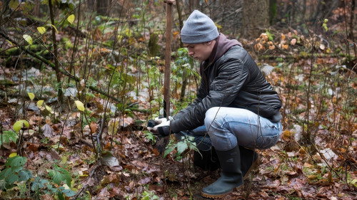 Folge 3743 - Waffenfund
