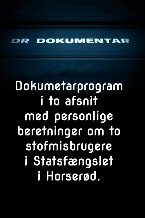 Pigerne i Horserød (2004)