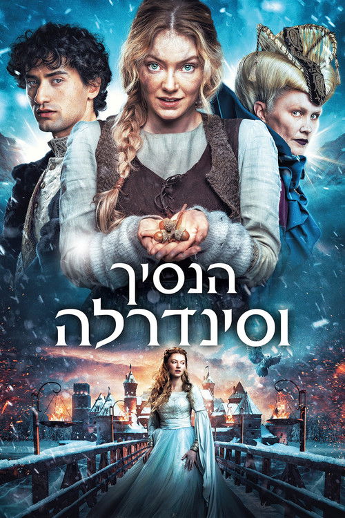 Three Wishes for Cinderella poster