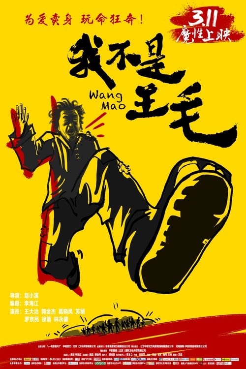 我不是王毛 (2016) poster