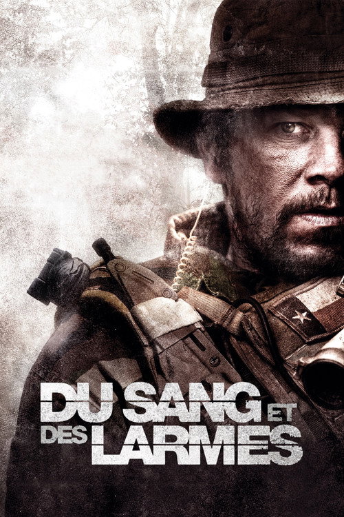 Lone Survivor poster