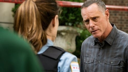 Chicago P.D. Distrito 21: 6×4