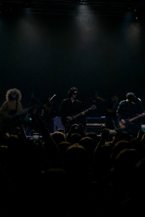 TheVeilers