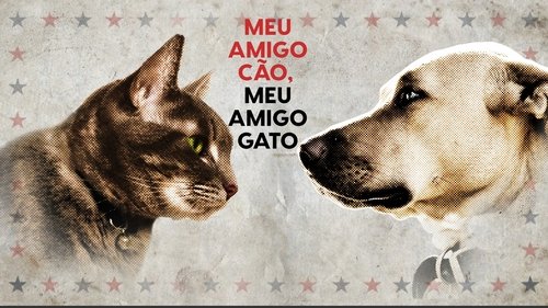Cat vs. Dog