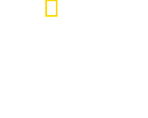 Tucci na Italia