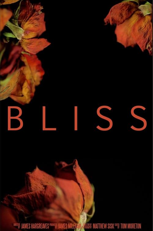 Poster Bliss 2019