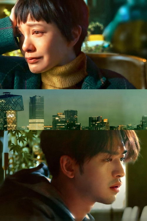 Good Night Beijing poster