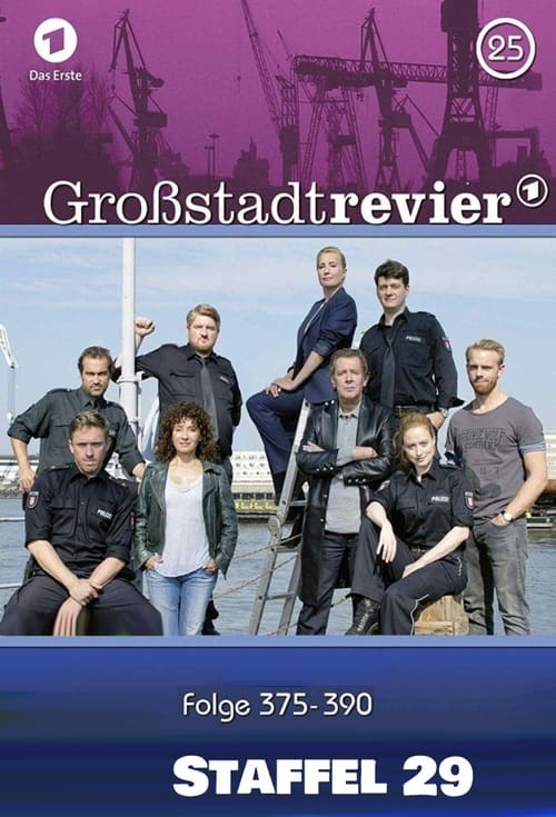 Where to stream Großstadtrevier Season 29