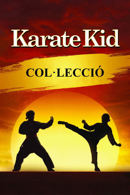 Pòster de Karate Kid - Col·lecció