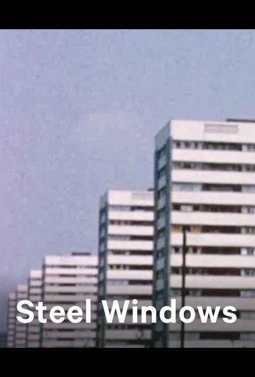 Steel Windows