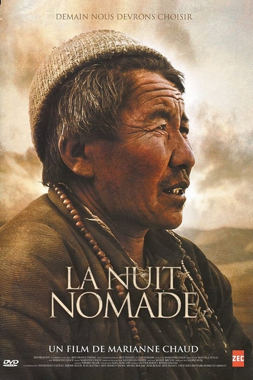 Poster La Nuit Nomade 2012
